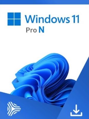 مايكروسوفت ويندوز 11 برو N (PC) - مفتاح أصلي عالمي من مايكروسوفت
